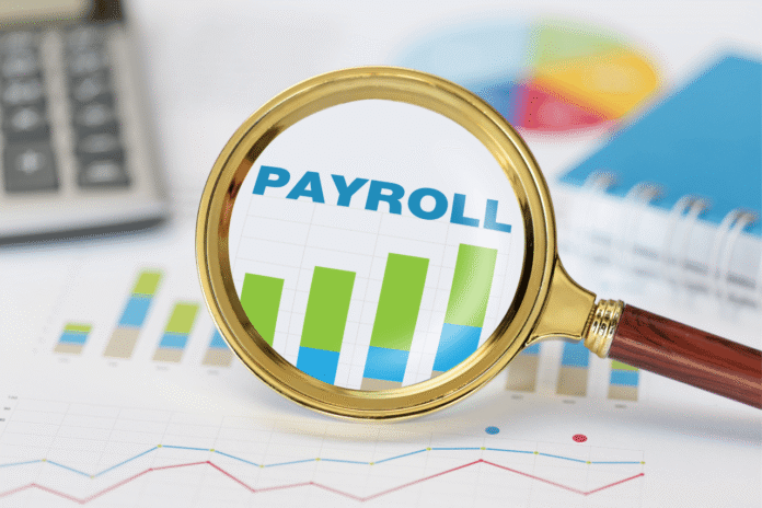 I Just Started My Small Business Do I Need Payroll Software?